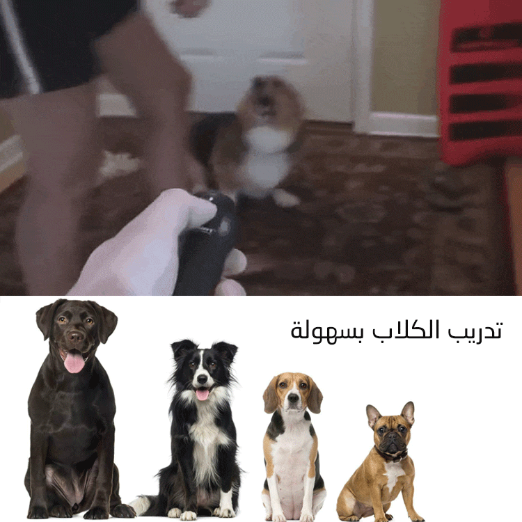جهاز طرد الكلاب بالموجات فوق الصوتية
