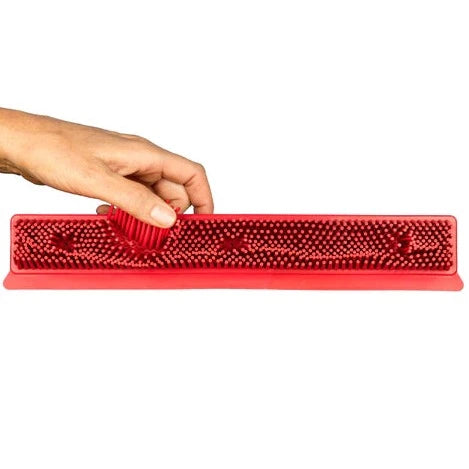 مكنسة تنظيف الشعر 2 في 1 المصنوعة من المطاط