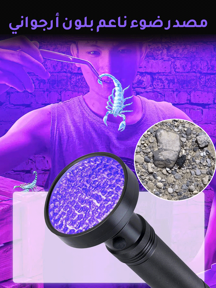 كشاف القبض على العقارب بضوء أرجواني - Makfool