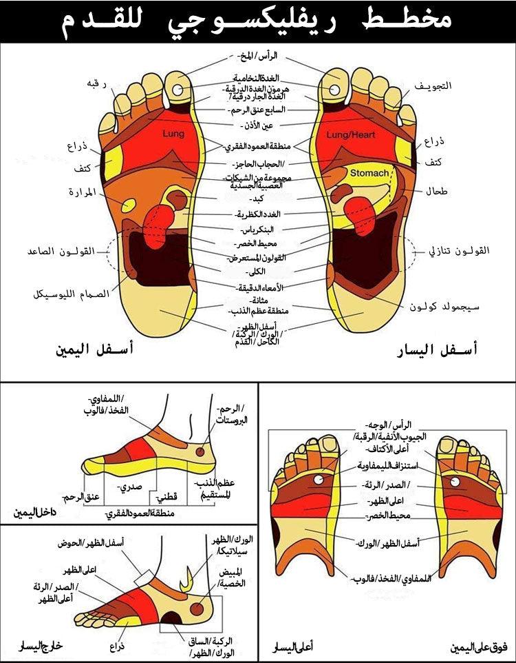 مدلك القدم الخشبي الجديد - Makfool