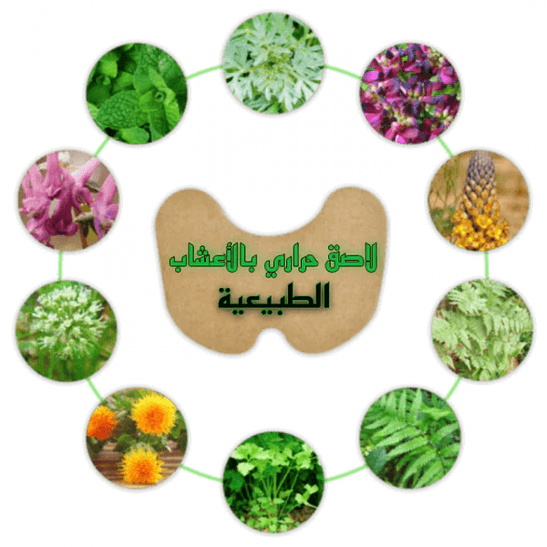 tk .اللاصقة الحرارية بالأعشاب الطبيعية للتـخلـص من ألـم الركبة - 14 قطعة - Makfool