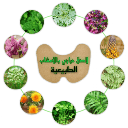 tk .اللاصقة الحرارية بالأعشاب الطبيعية للتـخلـص من ألـم الركبة - 14 قطعة - Makfool